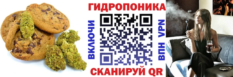 кракен рабочий сайт  Курган  Canna-Cookies конопля  продажа наркотиков 