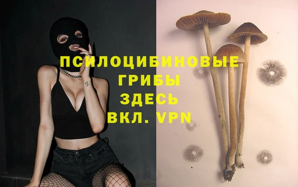 меф Медвежьегорск