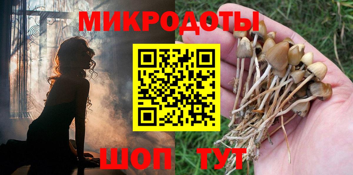 Галлюциногенные грибы прущие грибы  Галлюциногенные грибы GOLDEN TEACHER  Курган 