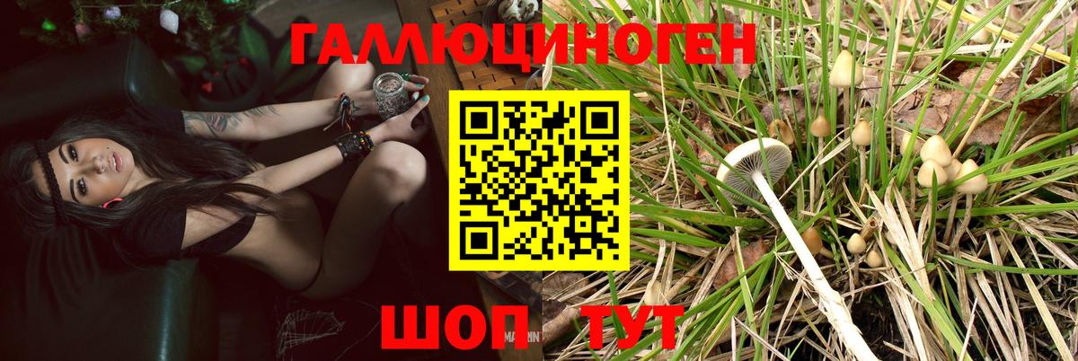 Псилоцибиновые грибы мицелий Курган