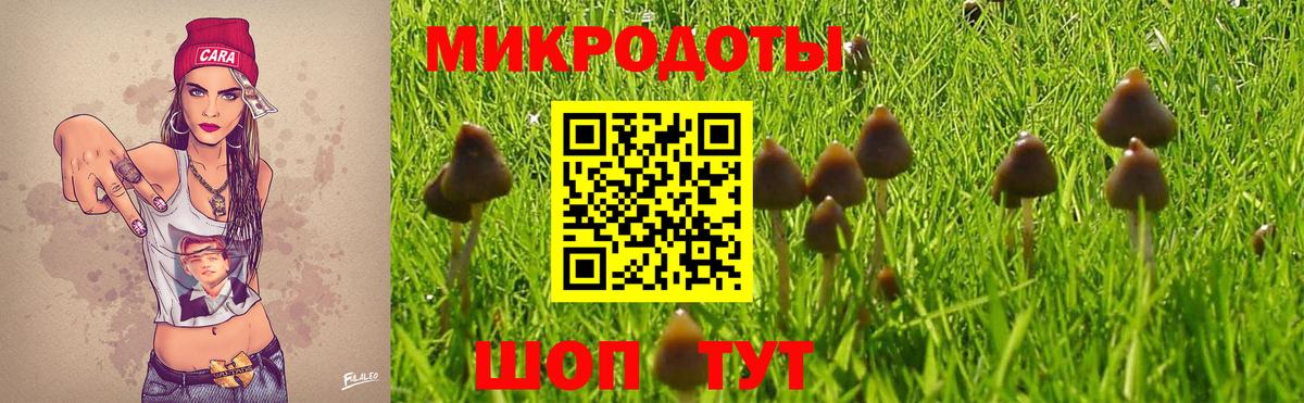 Псилоцибиновые грибы мицелий  купить наркотики сайты  Курган  Вход с VPN 
