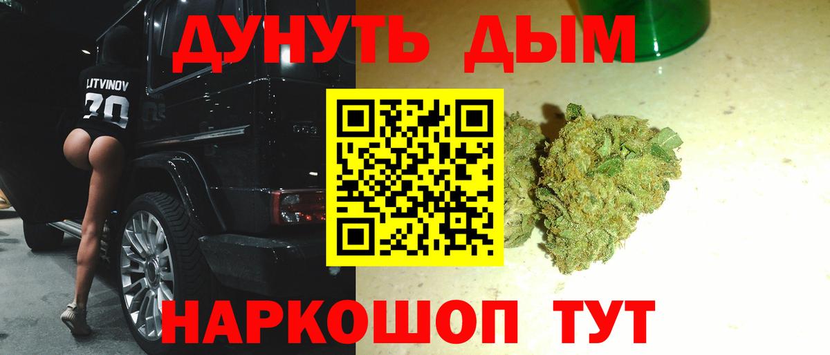 Конопля конопля Курган